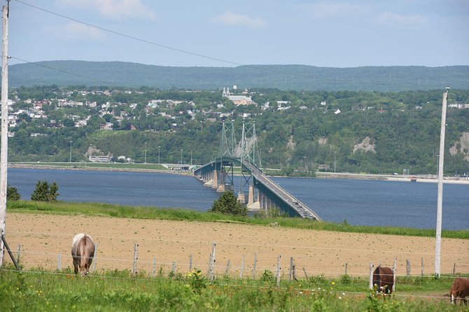 Half-Day Trip to Montmorency Falls and Ste-Anne-de-Beaupré from Quebec city - Is $70.53 a fair price?
