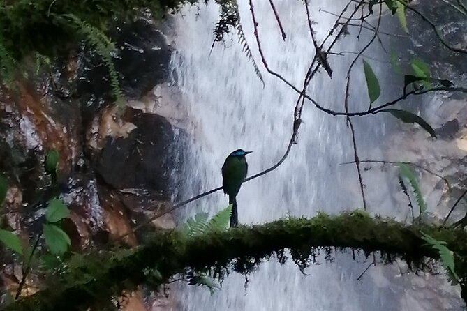 Half Day Waterfall Tour from Medellin - Practical preparation for wet mountain paths