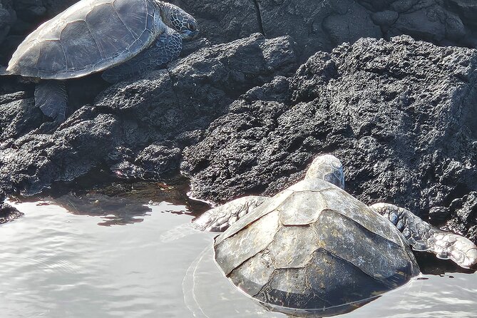 Hawaii Volcanoes, Waterfalls, Beaches & Hilo Highlights Day Tour - Big Island Candies adds a local taste