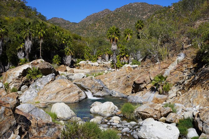 Hidden Waterfalls Hiking Adventure - From Cabo’s resorts to the Sierra de la Laguna