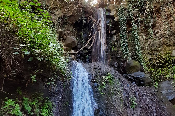 Hiking in Waterfalls & Rainforest with local guides: Sky Rebels - Transport from the resort area