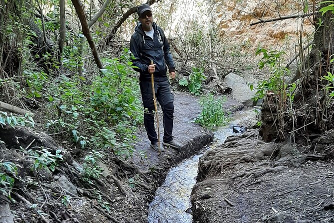 Hiking in Waterfalls & Rainforest with local guides: Sky Rebels - Who should choose this hike?
