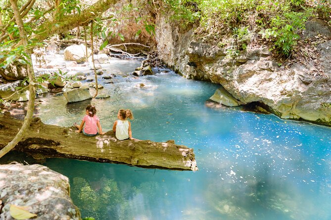 Hiking Tour of La Leona Waterfall with Lunch - Hiking beside the Rio Blanco
