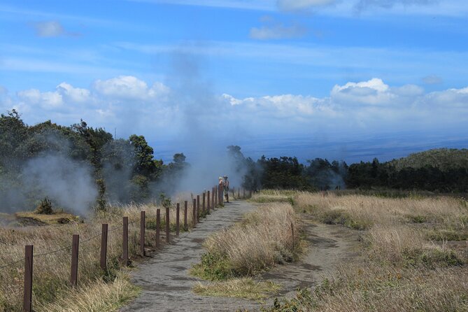 Hilo Shore Excursion: Active Volcano, Lava Tube, Waterfall and Gardens - Big Island Candies for a sweet local break