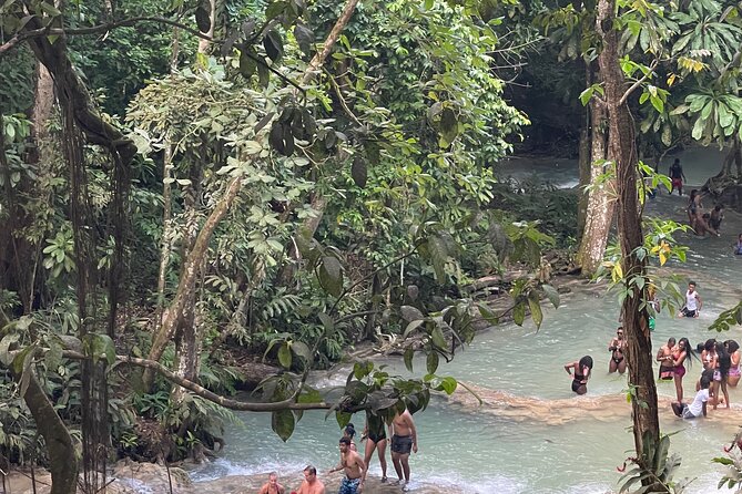 Horseback Riding and Swimming then Dunn's River Falls - A few practical habits that will improve your day