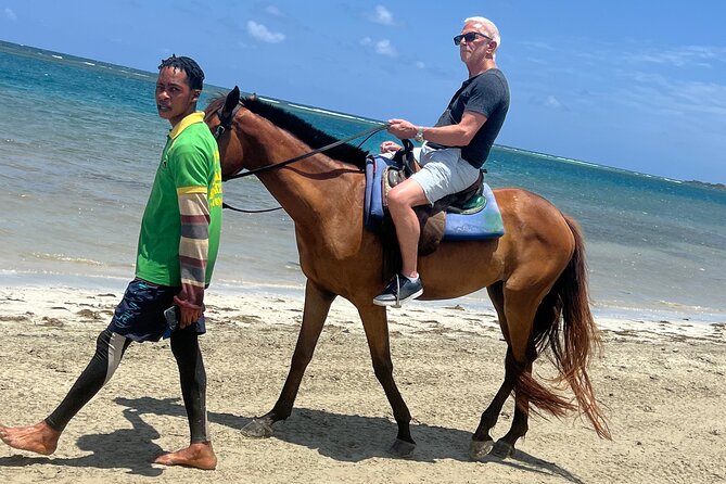 Horseback riding & bluehole secret falls from Montego Bay - Key points to know before booking