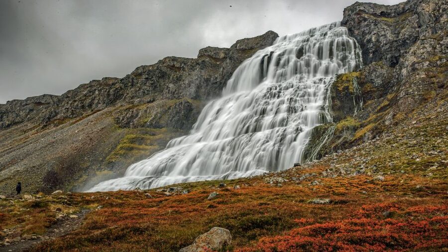 Isafjordur: Dynjandi Waterfall Tour and Icelandic Farm Visit - Why Dynjandi makes a strong half-day from Isafjordur