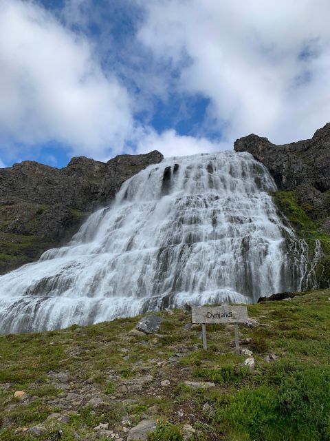 Isafjordur: Dynjandi Waterfall Tour and Icelandic Farm Visit - Timing, meeting point, and cruise-day planning