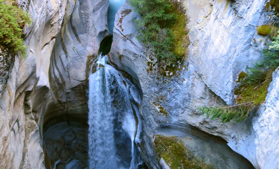 Jasper: Wildlife and Waterfalls Tour with Lakeshore Hike - Key points to know before booking