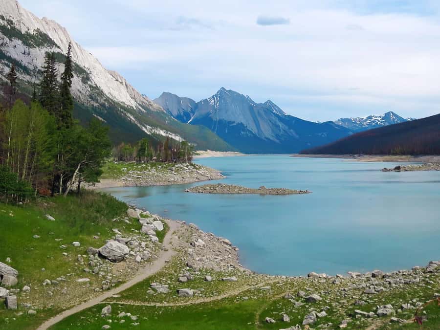 Jasper: Wildlife and Waterfalls Tour with Lakeshore Hike - Free time at the Maligne Lake Day Lodge