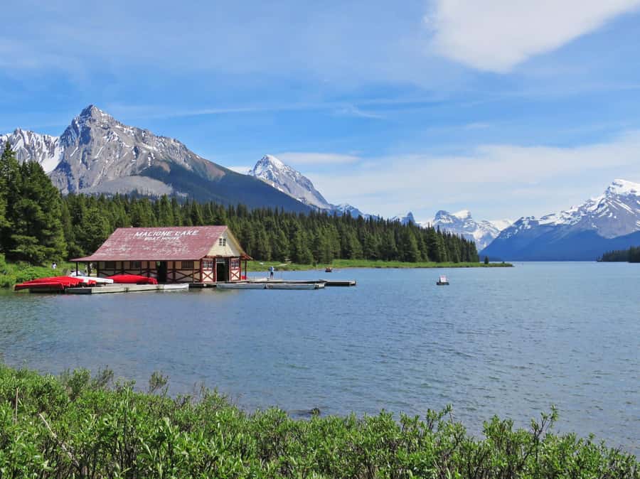Jasper: Wildlife and Waterfalls Tour with Lakeshore Hike - What the $77 price really covers