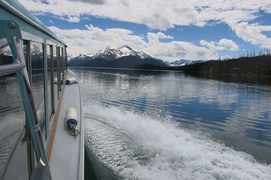 Jasper: Wildlife and Waterfalls Tour with Maligne Cruise - Wildlife: your best chance on this Jasper outing