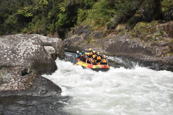 Kaituna Cascades - Grade 5 Wairoa River near Tauranga - The Rollercoaster keeps the river moving