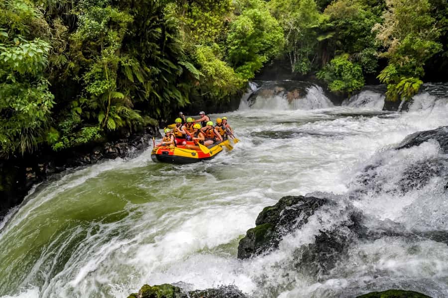 Kaituna River and Tutea Falls Whitewater Rafting - Key points to know before you book