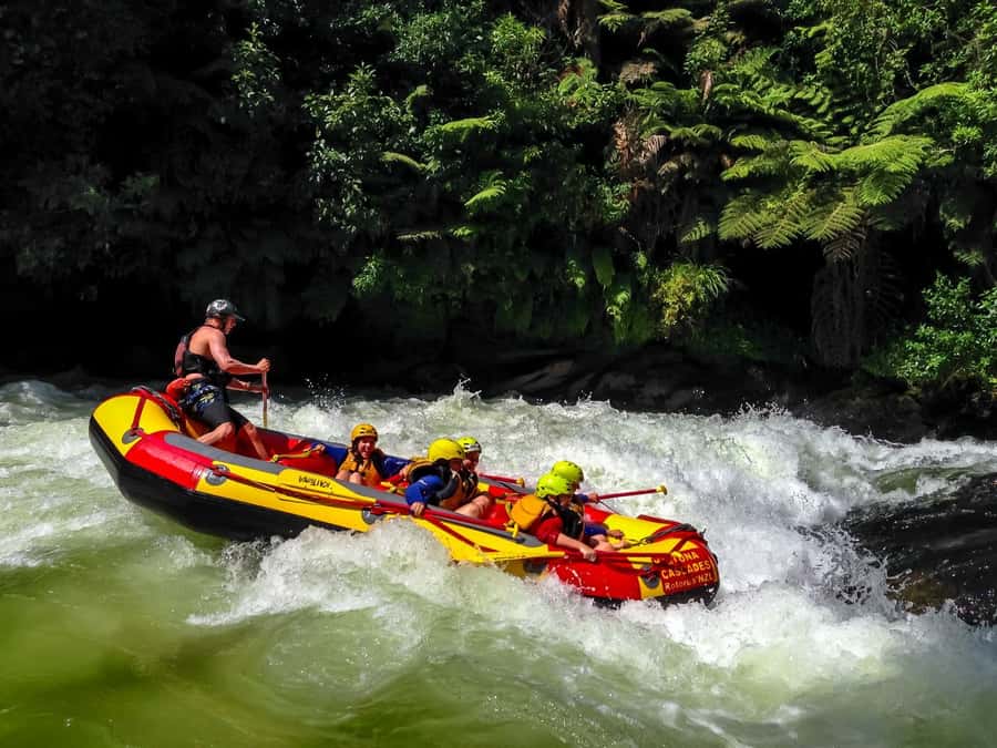 Kaituna River and Tutea Falls Whitewater Rafting - The first rapids give you time to find your rhythm