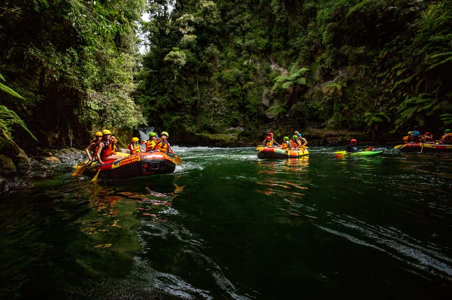 Kaituna River and Tutea Falls Whitewater Rafting - Your guide matters more than the equipment