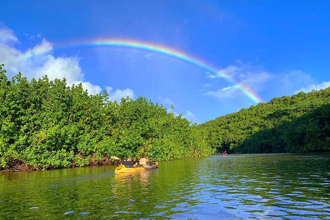 Kauai Adventure: Kayak & Hike to Secret Falls with Expert Guide - The return trip is part of the workout