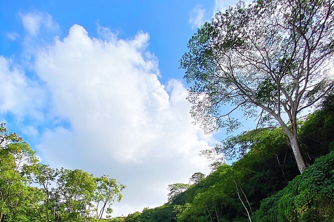 Kauai Adventure: Kayak & Hike to Secret Falls with Expert Guide - What the $140 price really covers