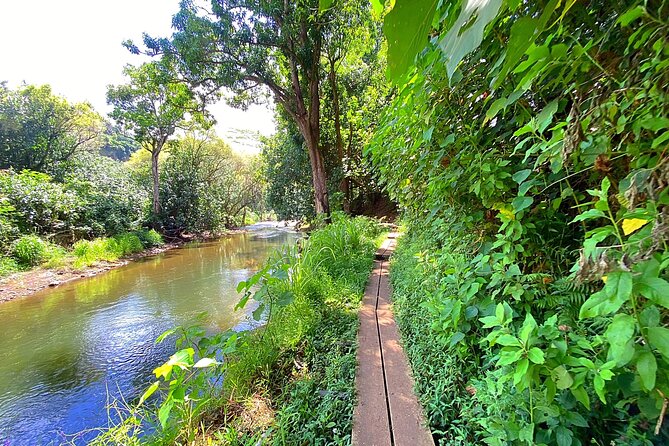 Kauai Adventure: Kayak & Hike to Secret Falls with Expert Guide - Timing, weather, and cancellation details