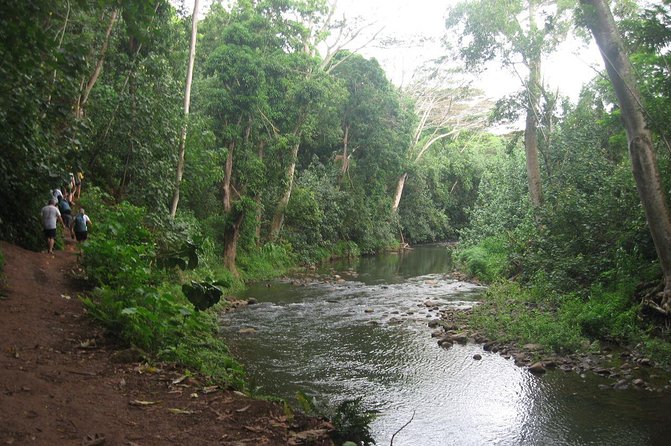 Kauai Adventure: Kayak & Hike to Secret Falls with Expert Guide - Uluwehi Falls, the reward at the end