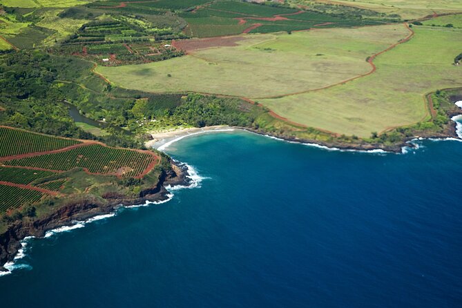 Kauai Airplane Tour: Na Pali Coast, Waterfalls & Window Seats - Jurassic Falls and Mount Waialeale