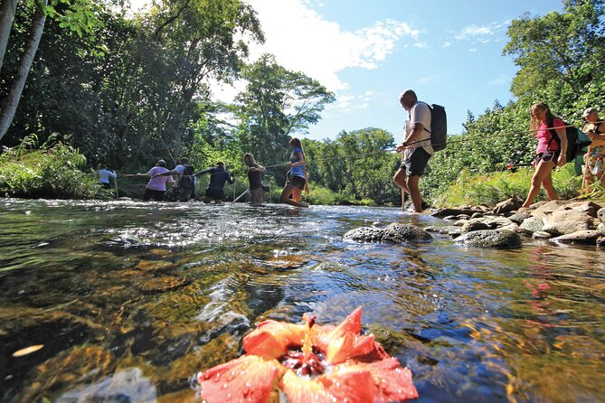 Kauai: Secret Falls Kayak and Hike - Why this Kauai adventure earns its place on your schedule