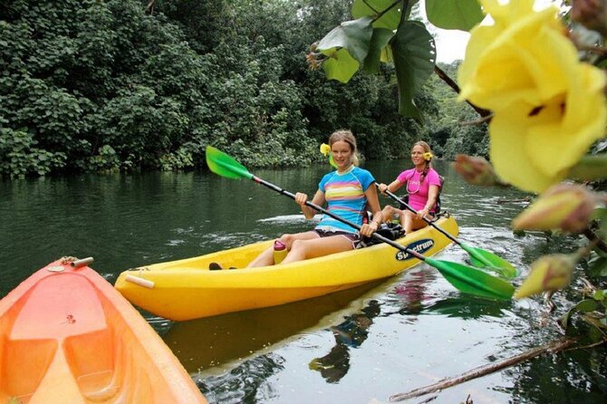 Kauai: Secret Falls Kayak and Hike - Starting on the Wailua River