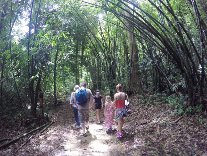 Khao Lak: Little Amazon Canoe Ride & Tam Nang Waterfall Tour - Should you book the Little Amazon and Tam Nang tour?