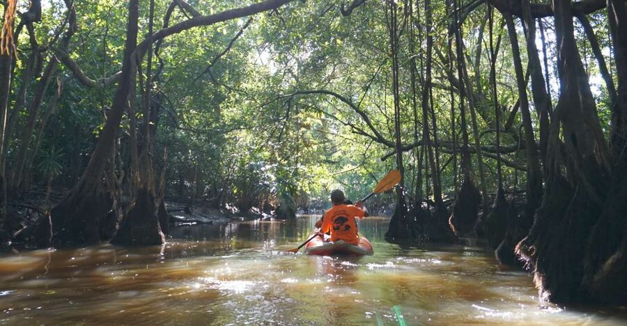 Khao Lak: Little Amazon Canoe Ride & Tam Nang Waterfall Tour - From Khao Lak to the Takuapa wetlands