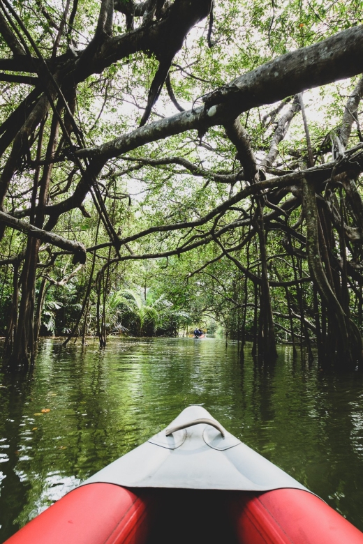 Khao Lak: Little Amazon Canoe Ride & Tam Nang Waterfall Tour - Is $61 a fair price?