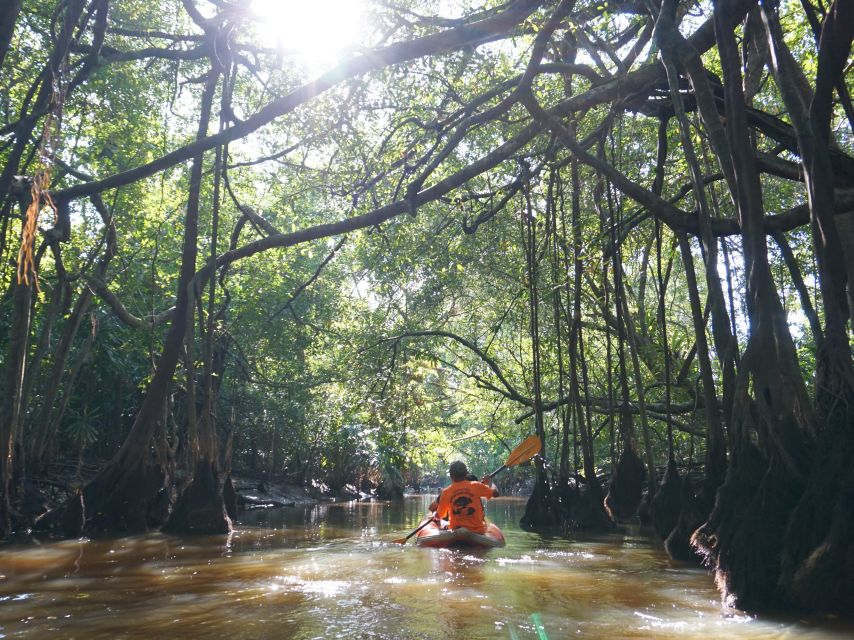 Khao Lak: Little Amazon Canoe Ride & Tam Nang Waterfall Tour - Who should book this half-day trip?