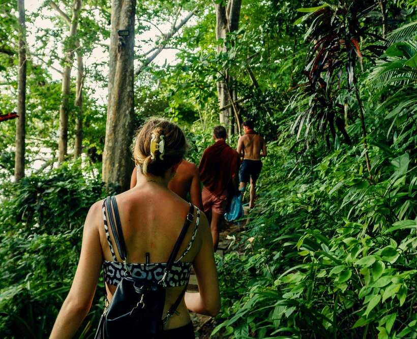 Khao Sok: Private Waterfalls and Wildlife Half-Day Trek - Why the guide matters more than the trail