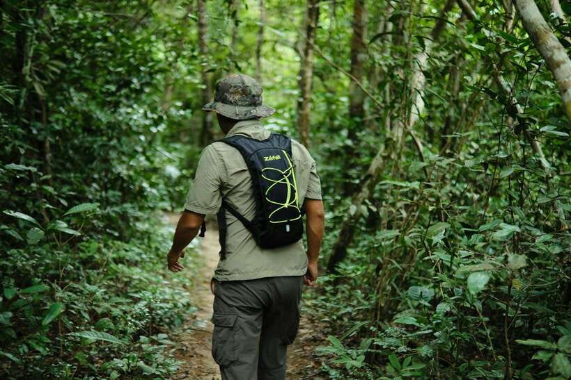 Khao Sok: Private Waterfalls and Wildlife Half-Day Trek - How good is the $48 value?