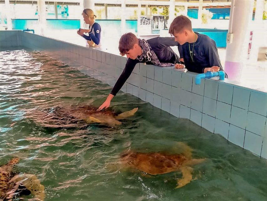 Khaolak: Bamboo Rafting, Waterfalls, and Turtle Conservation - Timing, weather, and the small print