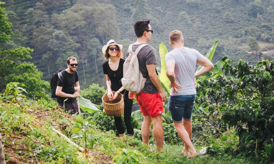 Kilimanjaro: Village Walk, Coffee Tour, Waterfall, and Lunch - An 80-meter wall of falling water