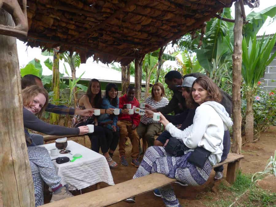 Kilimanjaro: Village Walk, Coffee Tour, Waterfall, and Lunch - Is the $87 price fair?