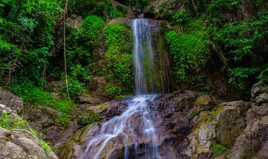 Ko Samui: Tree Bridge Jungle Zipline and Waterfall Adventure - Eight lines through Koh Samui’s jungle