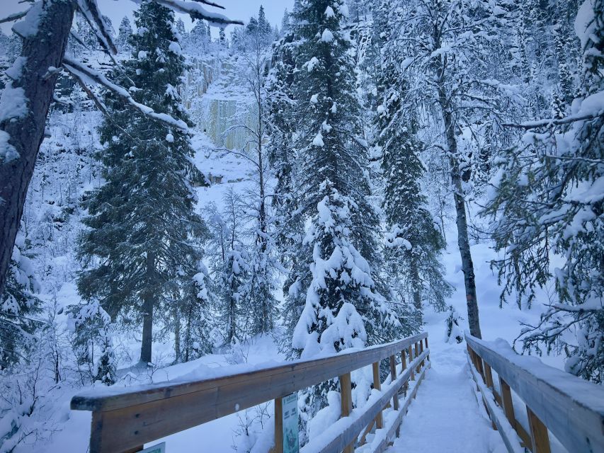 Korouoma: Frozen Waterfall Hiking Tour - The 90-minute ride from Rovaniemi