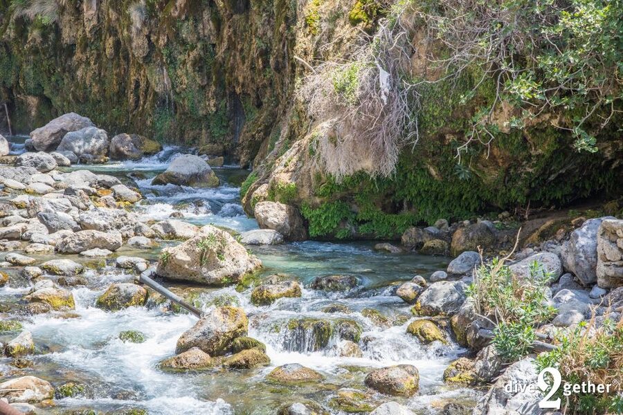 Kourtaliotiko Gorge: Snorkel Trip to the Waterfalls - What the €106 price really covers
