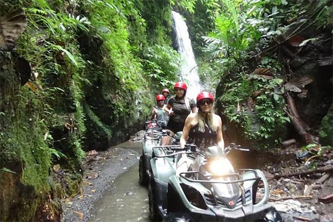 KUBER ATV UBUD - Tunnel Waterfall Rice field Jungle w Private Car - Who will enjoy this ATV ride most
