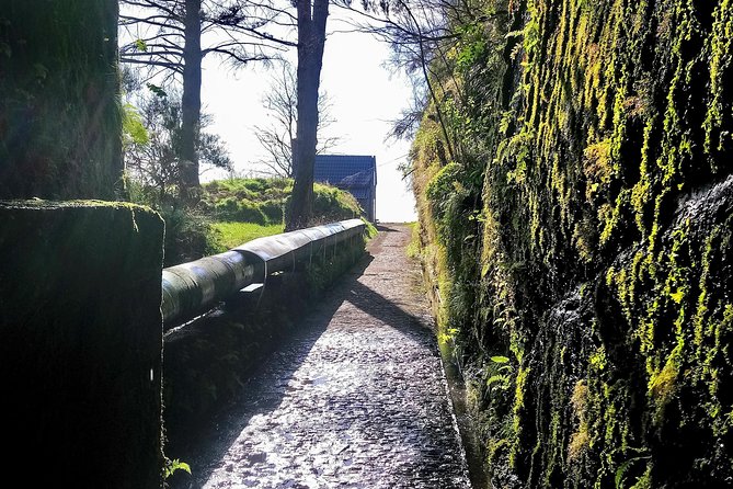 Levada & Waterfalls Hike 25 Fountains, Rabaçal, Risco more Challenging Walk - What the $95.18 price really covers