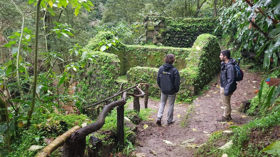 Lomba de São Pedro: Waterfall Hiking Tour with Tea Tasting - Santa Iria Lookout and the ride home