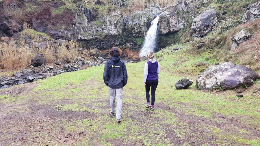 Lomba de São Pedro: Waterfall Hiking Tour with Tea Tasting - Why this north coast day works so well