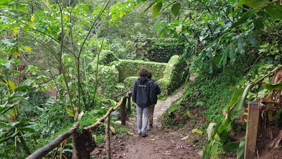 Lomba de São Pedro: Waterfall Hiking Tour with Tea Tasting - The steep start at Cascata do Homem