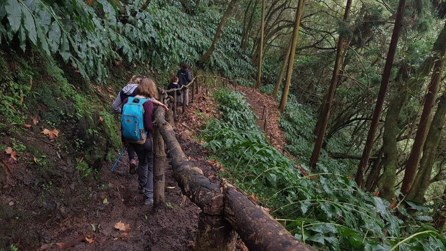 Lomba de São Pedro: Waterfall Hiking Tour with Tea Tasting - The included picnic lunch