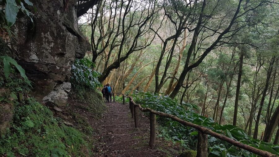 Lomba de São Pedro: Waterfall Hiking Tour with Tea Tasting - Ribeira dos Caldeirões after the hike