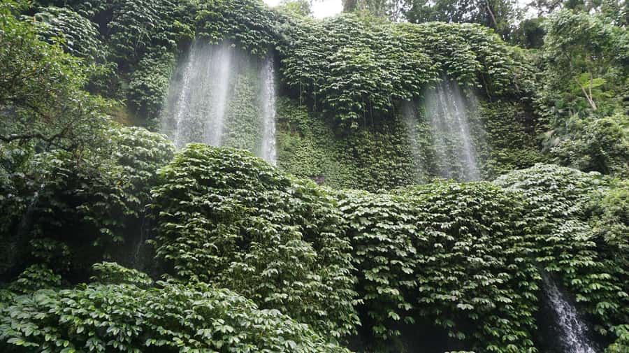 Lombok: Waterfall Benang Kelambu & River Rafting Trip - FAQ