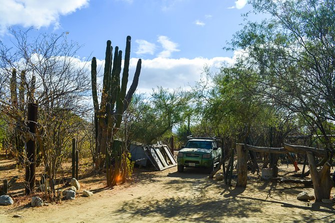Los Cabos: Hiking at the Fox Canyon with Waterfall - Waterfalls, pools, and optional adventure