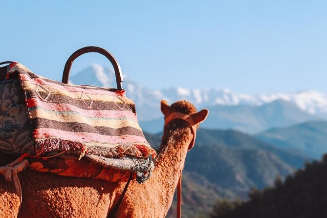 Lunch in the High Atlas: Ourika Valley Waterfalls & 3 Valleys - Dinner at the desert camp