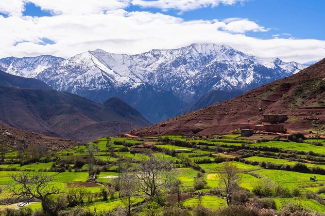 Lunch in the High Atlas: Ourika Valley Waterfalls & 3 Valleys - Guides and the quality of the service